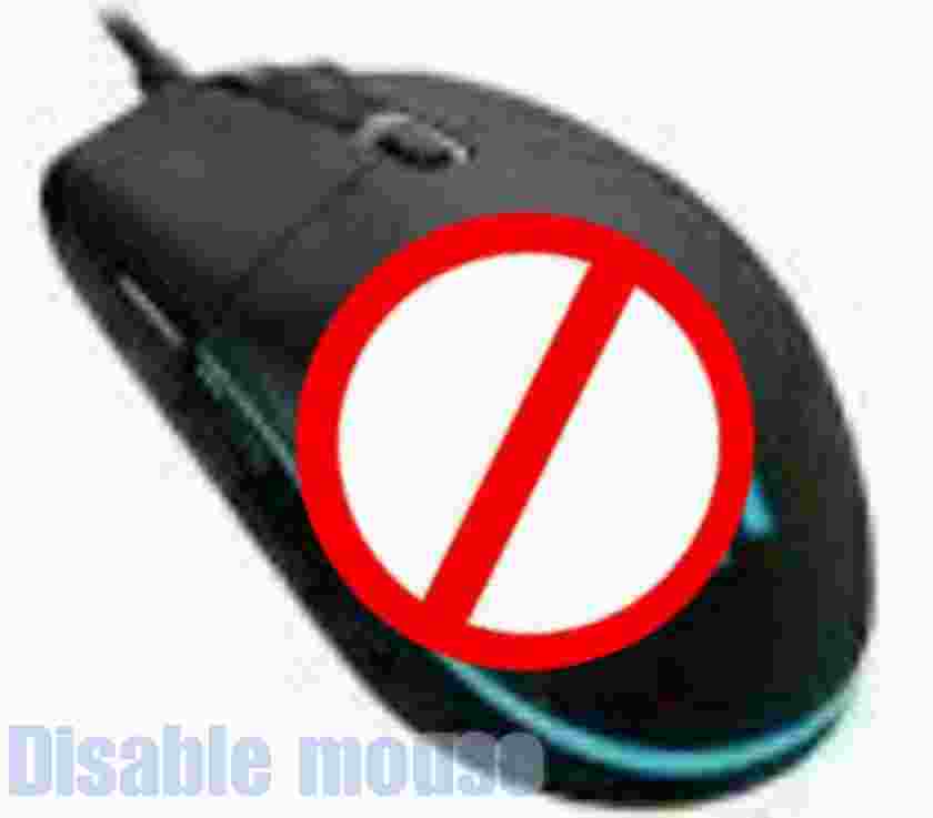 how-to-disable-mouse_1536623481SAlIg2.jpeg